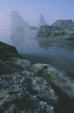Bandon Fog - (c) Tony Mason/Oregon Photo Tours